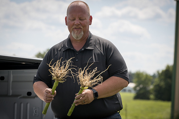 NL_Corn_072319_Carbondale_542