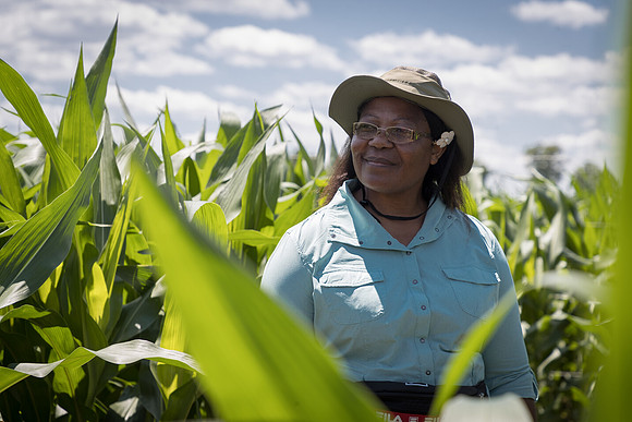 NL_Corn_072319_Carbondale_19