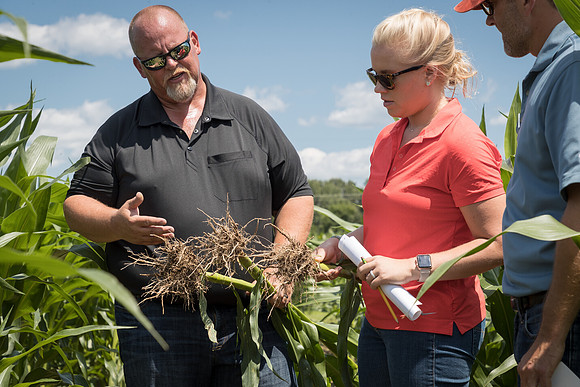 NL_Corn_072319_Carbondale_301