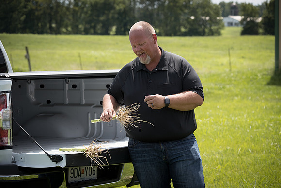 NL_Corn_072319_Carbondale_562