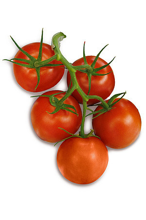Tomato_Albrice_5_2