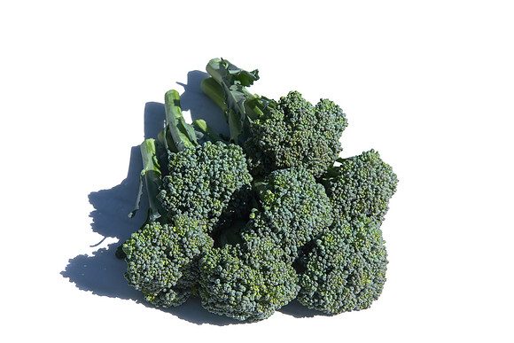 Broccoli_ArtworkSibsey_CA_0012
