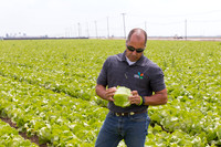 Lettuce_9238_CA_0074