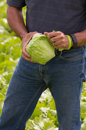 Lettuce_9238_CA_0081