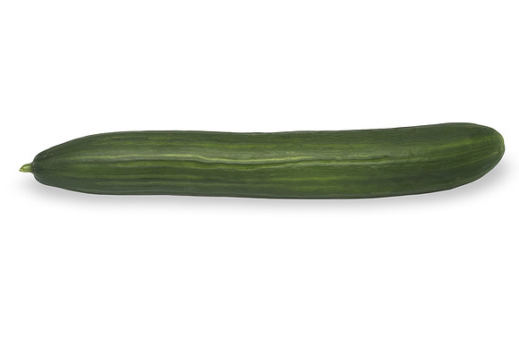 Cucumber_Avaya_0010