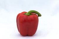 SweetPeppers_12-E7-BLK-8180_CA_0027