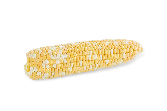 SweetCorn_Nighthawk_48