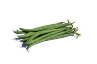 Bean_Banga_CA_0041