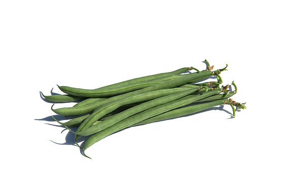 Bean_Banga_CA_0041