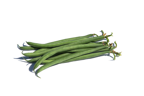 Bean_Banga_CA_0039
