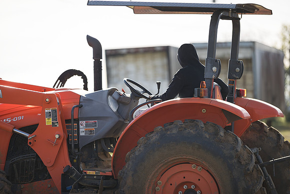 Seminis2022_FowlerPlant_78