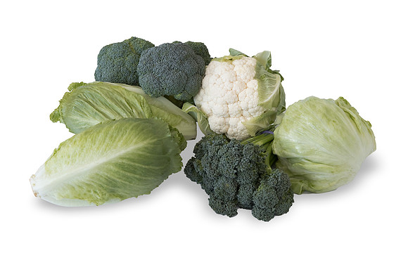 Brassica_Group_CA_0004