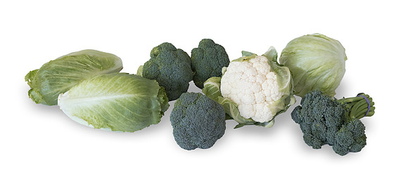 Brassica_Group_CA_0027