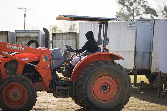 Seminis2022_FowlerPlant_77