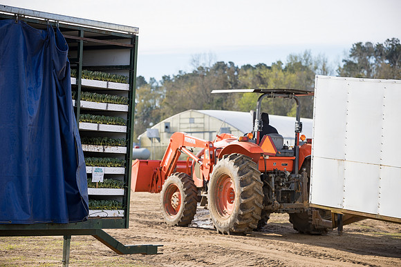 Seminis2022_FowlerPlant_5