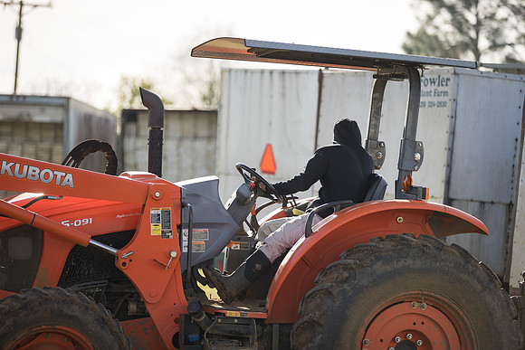 Seminis2022_FowlerPlant_58