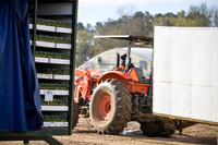 Seminis2022_FowlerPlant_9