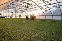 Fowler Plant Company