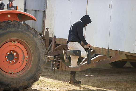 Seminis2022_FowlerPlant_59