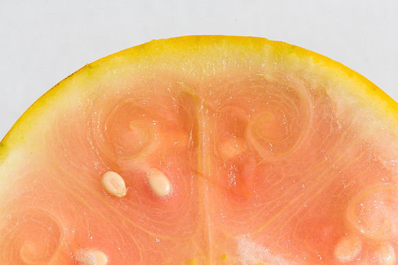 Watermelon_ExperimentalYellowStripe_CA_0035