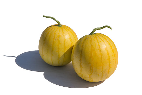 Watermelon_ExperimentalYellowStripe_CA_0021