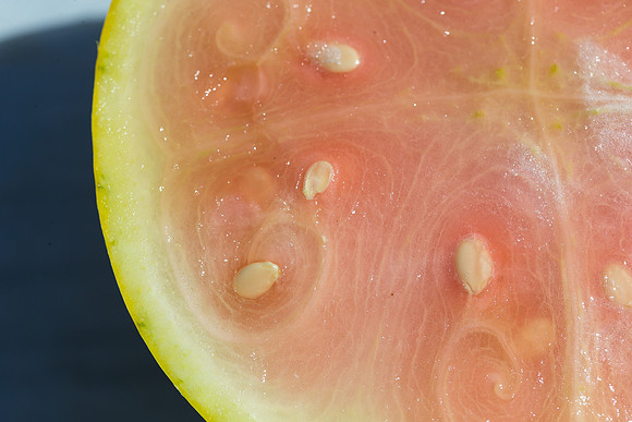 Watermelon_ExperimentalYellowStripe_CA_0032