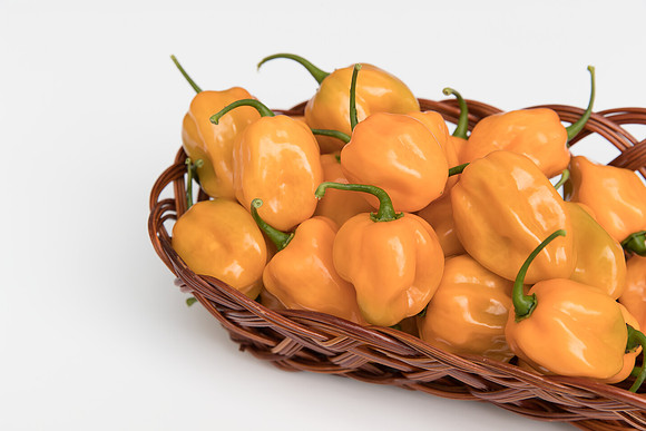 HotPepper_ChichenItza_0061