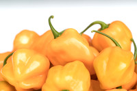 HotPepper_ChichenItza_0089