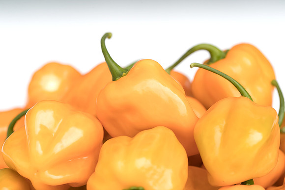 HotPepper_ChichenItza_0089