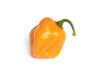 HotPepper_ChichenItza_0069