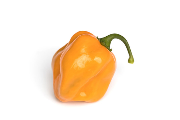 HotPepper_ChichenItza_0069