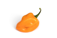HotPepper_ChichenItza_0072