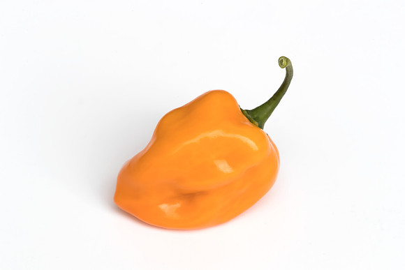 HotPepper_ChichenItza_0072