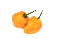 HotPepper_ChichenItza_0084