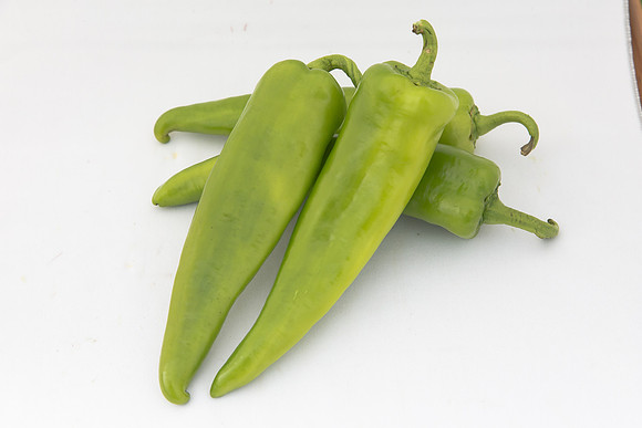HotPepper_Cardon_MX_Group_0005