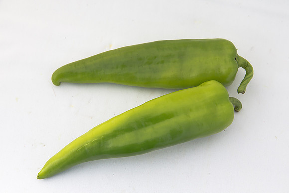 HotPepper_Cardon_MX_Group_0009