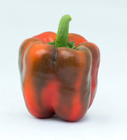 BellPepper_Darsena_MX_0007