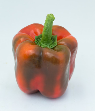BellPepper_Darsena_MX_0005