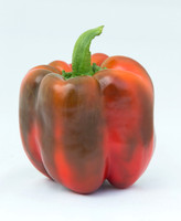 BellPepper_Darsena_MX_0010