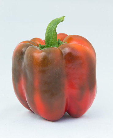 BellPepper_Darsena_MX_0010
