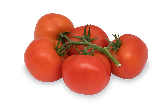 Tomatoes_7962TH_0026