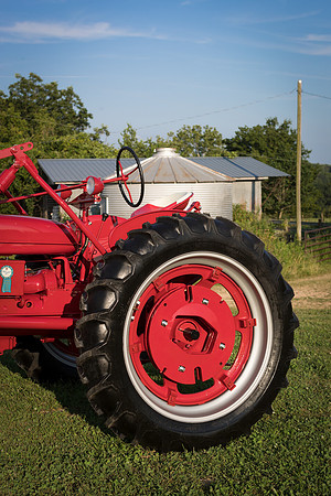 CDPf_21834
