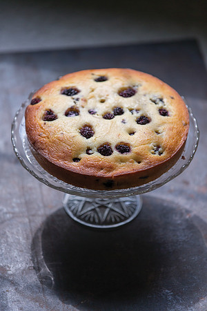 BlackberryRicottaCake