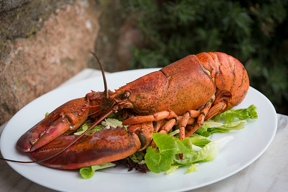 Homard Sauté a al Waldorf_CDPfr_2171