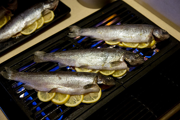 Grilled Truit_CDPe_6208
