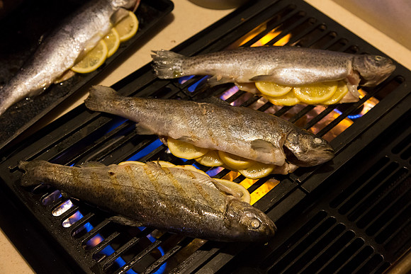 Grilled Truit_CDPe_6226