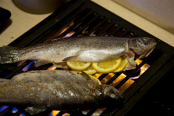 Grilled Truit_CDPe_6218
