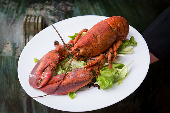 Homard Sauté a al Waldorf_CDPfr_2183-2