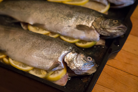 Grilled Truit_CDPe_6148