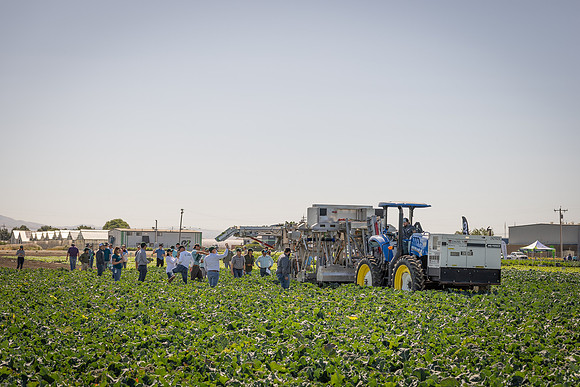 CytheHarvester_SJB_FieldDay2025_96